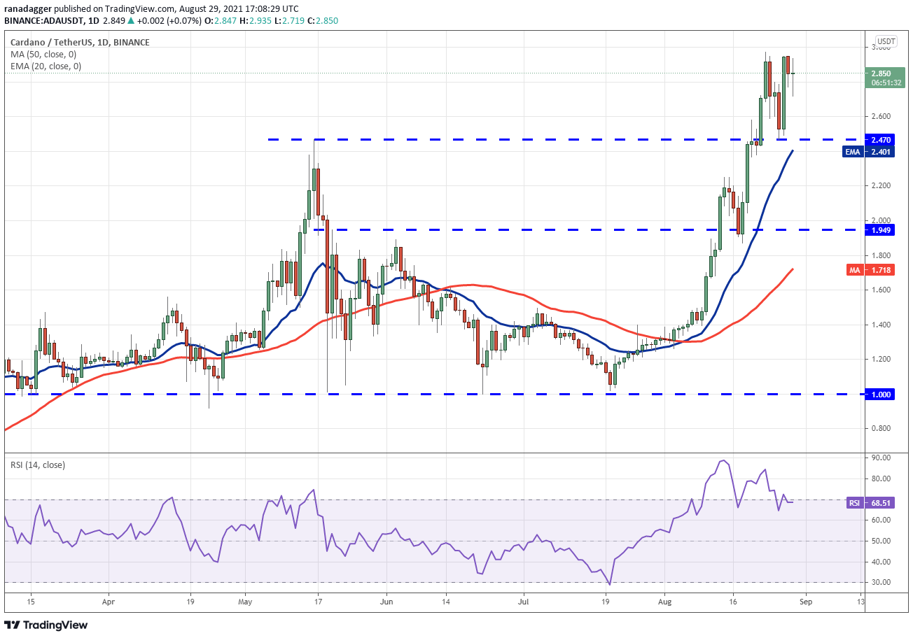 TradingView