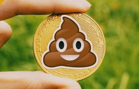 ShitCoins и их влияние на рынок